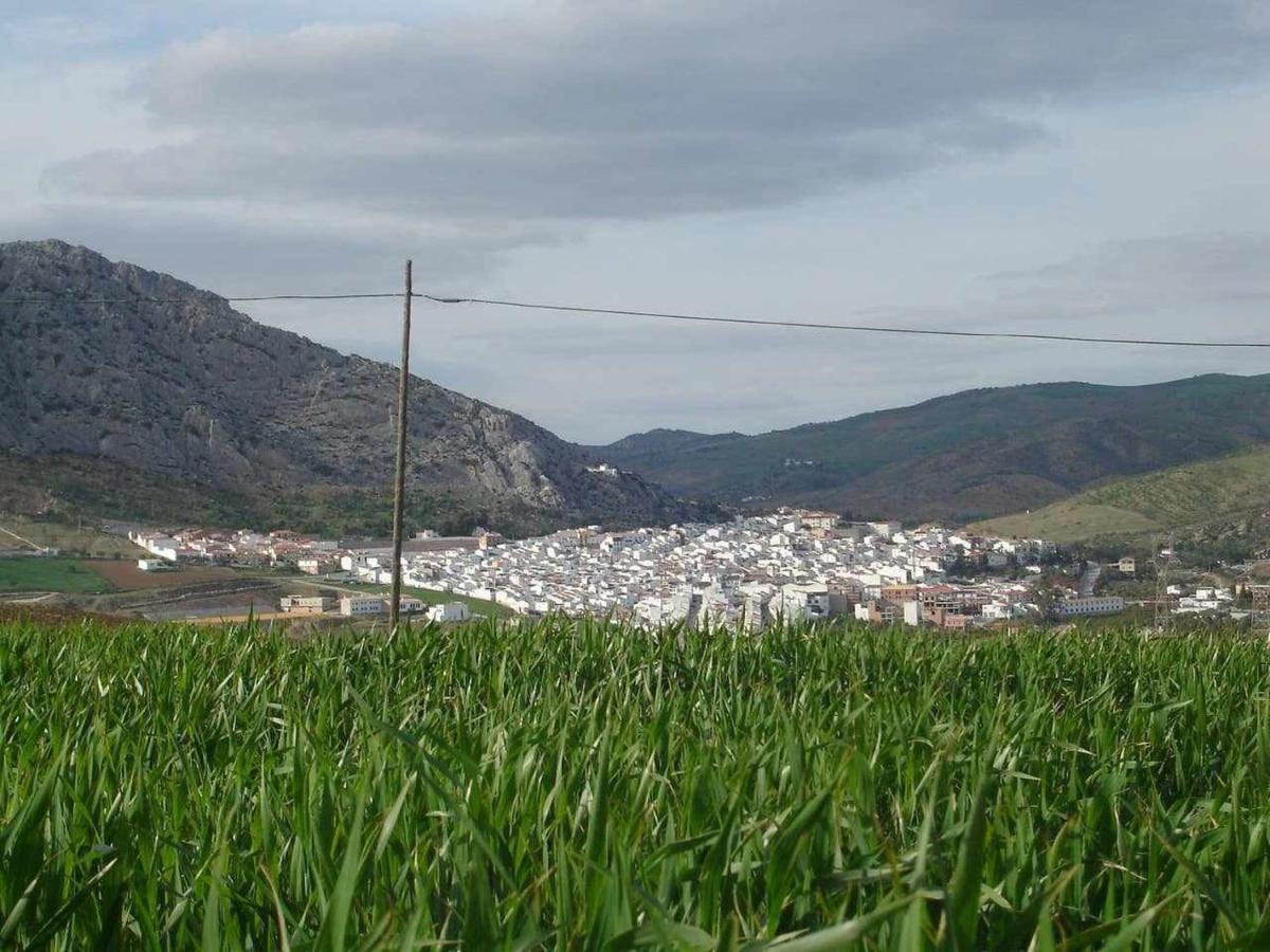 Mirador De La Encina Villa Valle de Abdalagís Exteriör bild